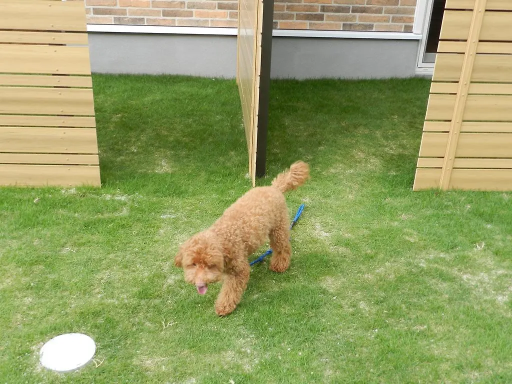 Maison d'hôtes 善き羊飼いの舎 à Fukuoka  Fukuoka (Fukuoka)